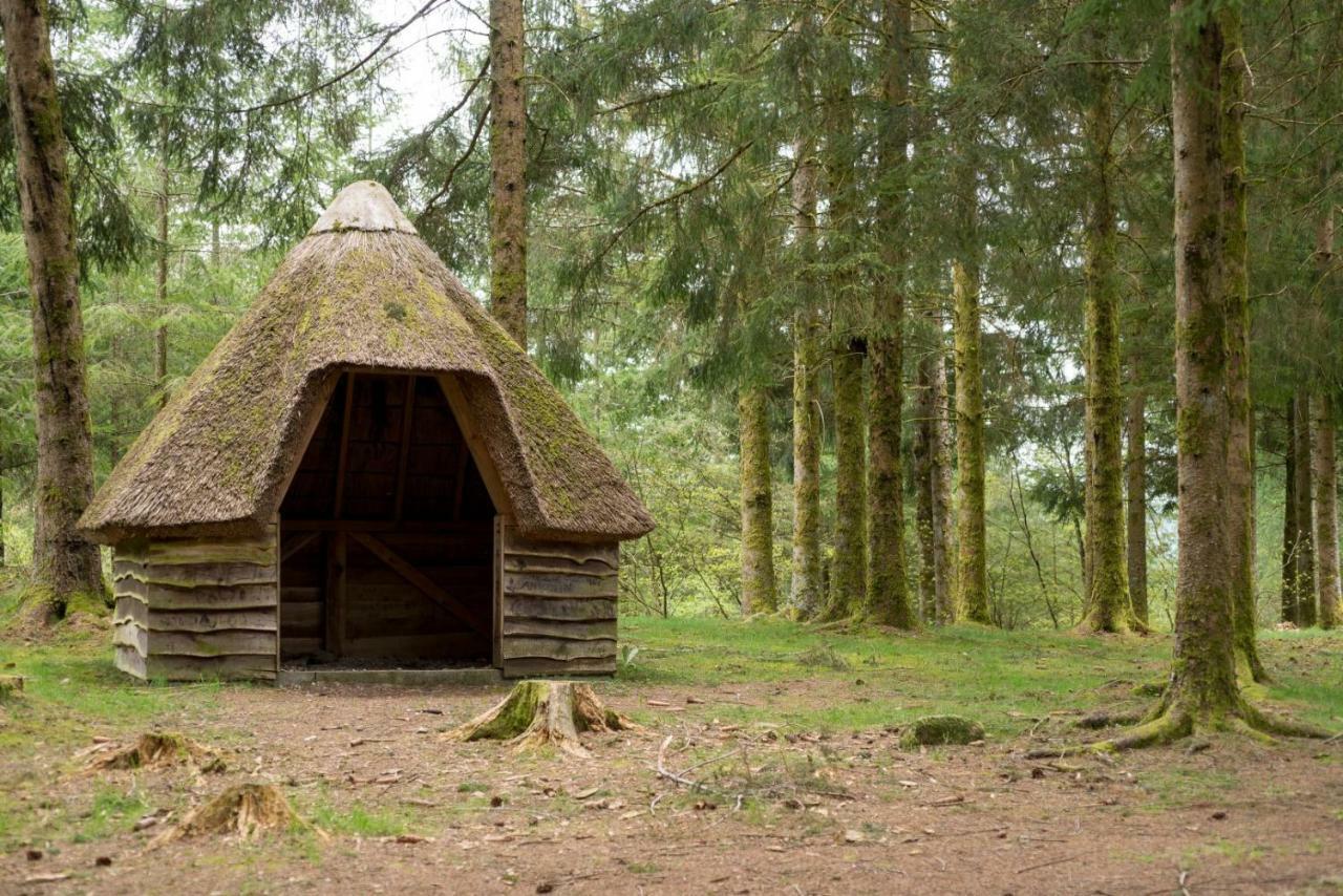مبيت وإفطار Treignac Chambre D'Hotes Des Monedieres المظهر الخارجي الصورة
